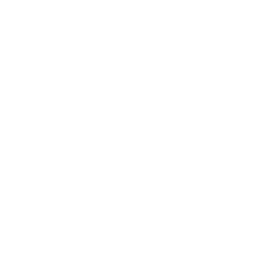 RareUI Logo